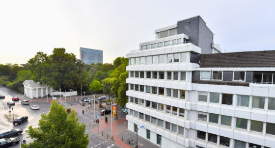 HeinrichHeineAllee 1, 40213 Düsseldorf Black Bear